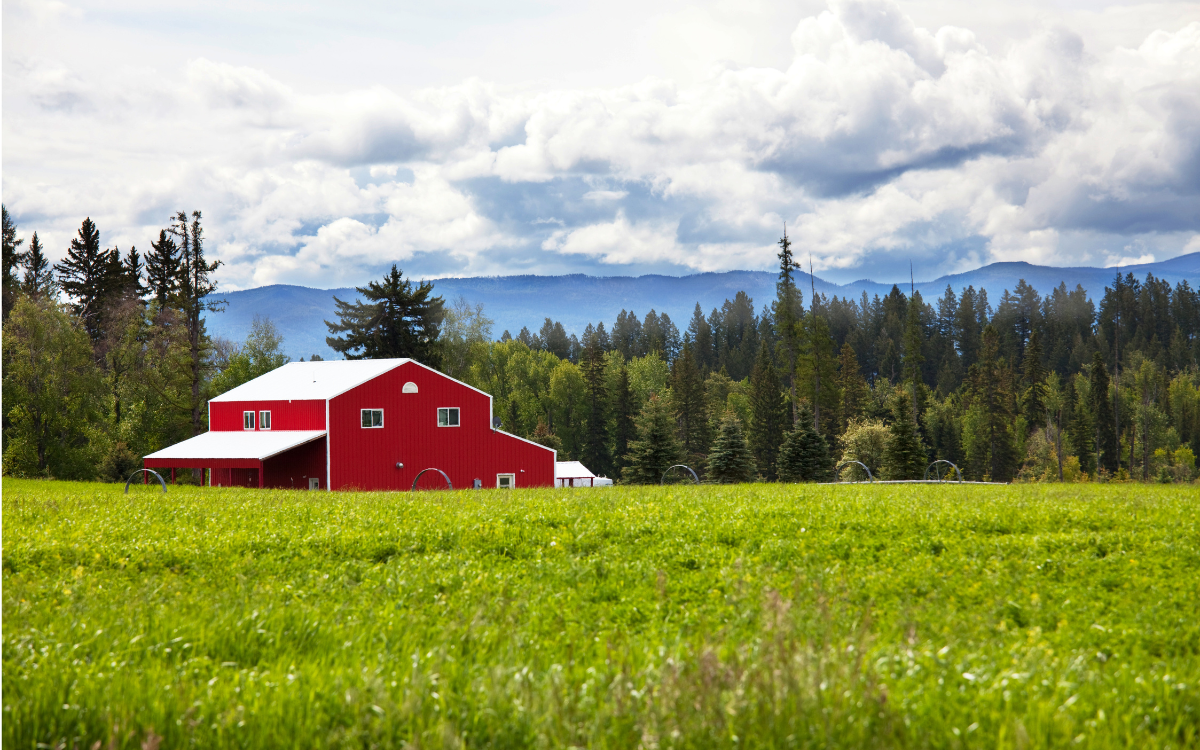 Why Summer 2026 Is the Sneaky-Good Time to Buy a Home in Salida, CO